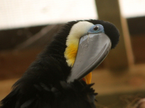 The Living Rainforest-纽伯里必去景点