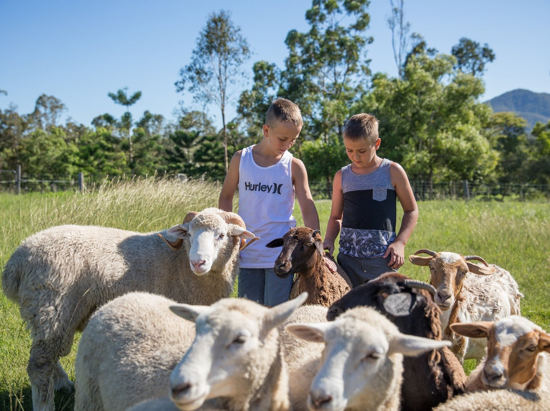 Trevena Glen Farm-Mount Samson必去景点
