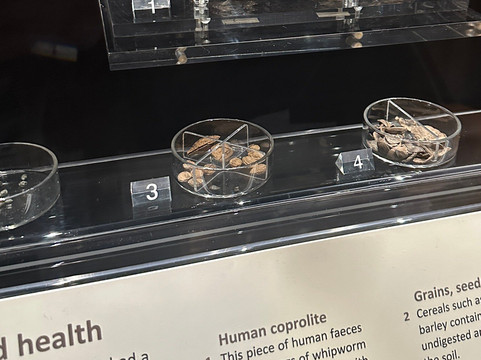 Jorvik Viking Centre-约克必去景点