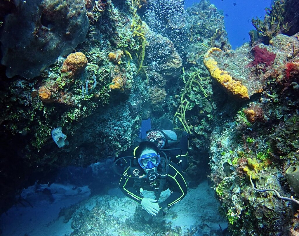 Remi Diving in Mexico-普拉亚德尔卡曼必去景点