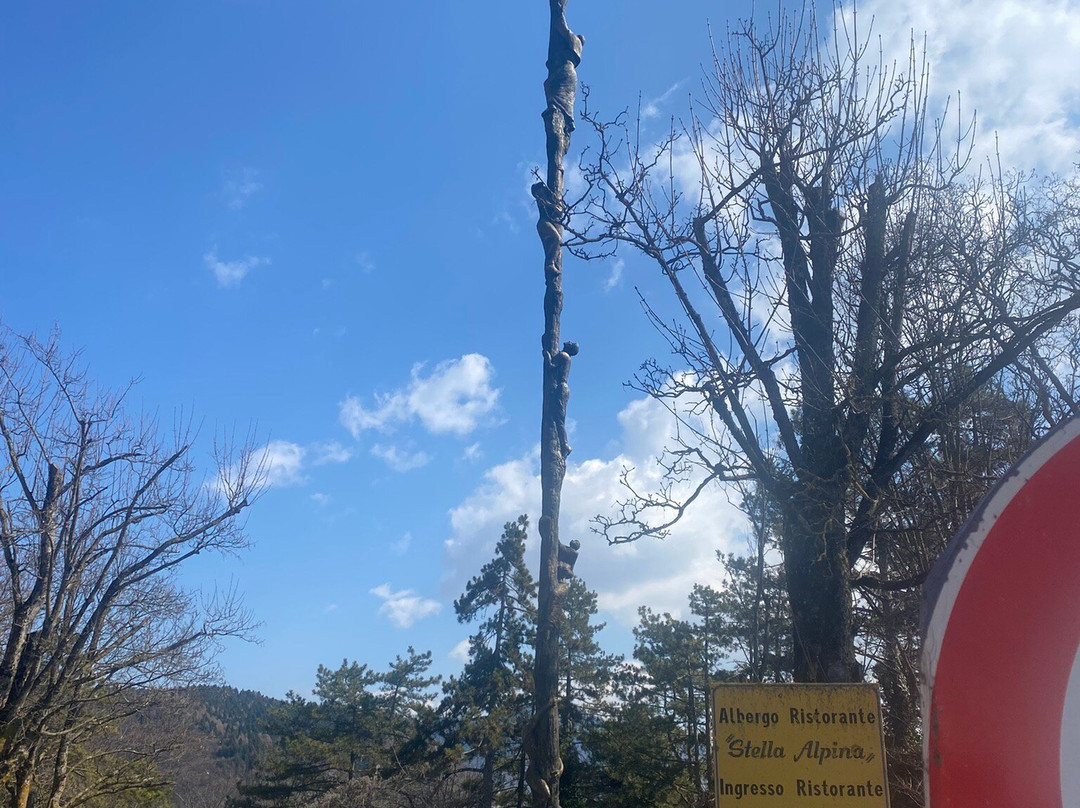 Hotel Stella Alpina主图