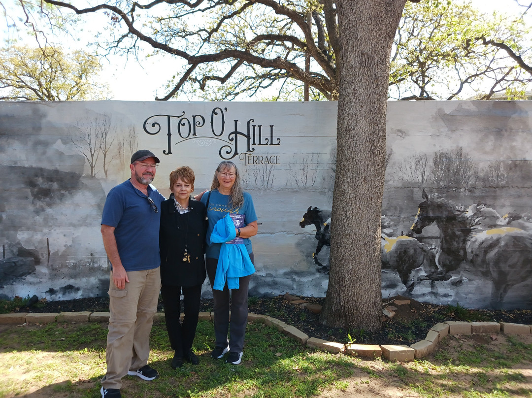 Top O' Hill Terrace-阿灵顿必去景点