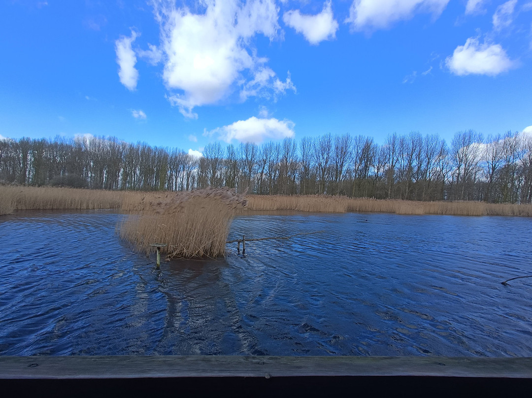 Lakenheath Fen RSPB Reserve-Lakenheath必去景点