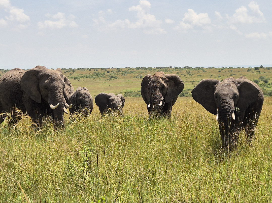 African Kismat Expeditions-Ruiru必去景点