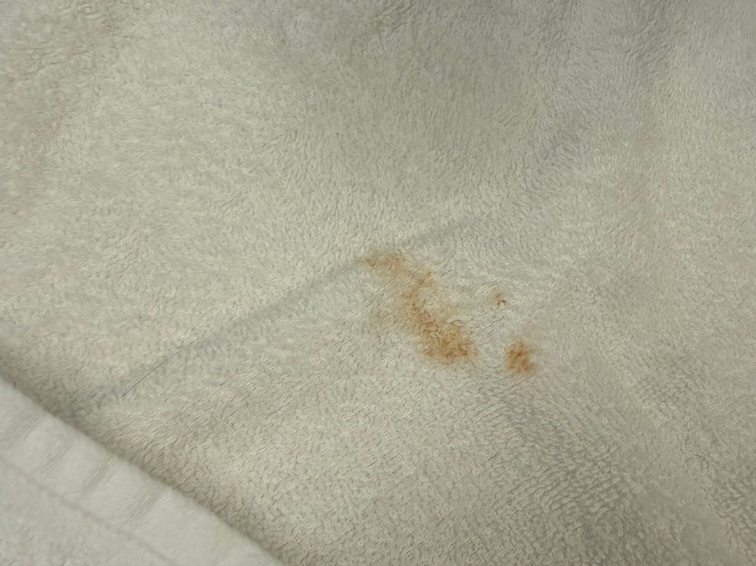 明尼阿波利斯布卢明顿西欢朋酒店主图