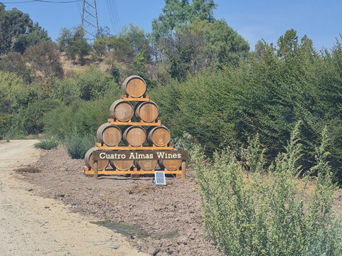 Cuatro Almas Wines-Buin必去景点