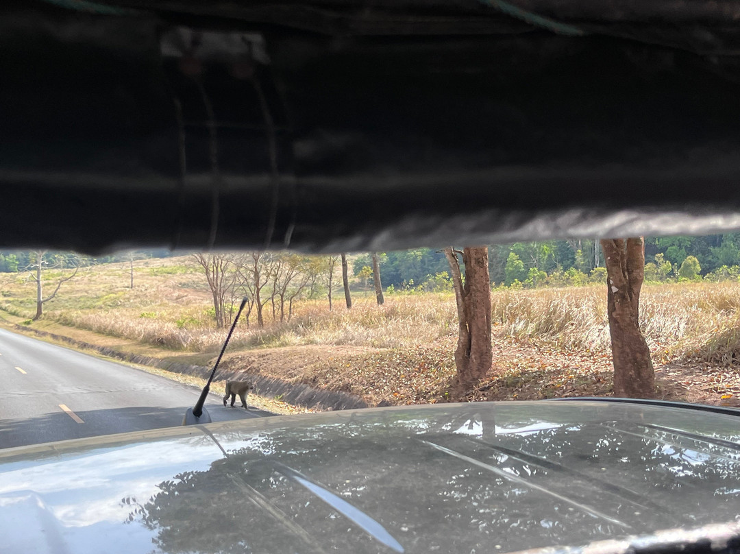 Bobby's Jungle Tours-北冲县必去景点