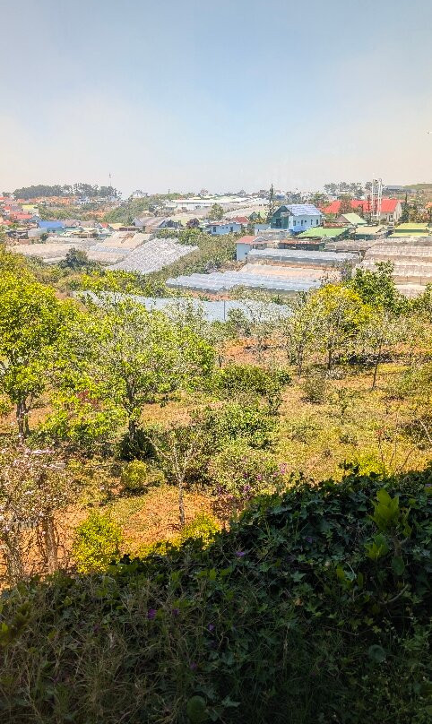 DaLat Day Tours-大勒必去景点