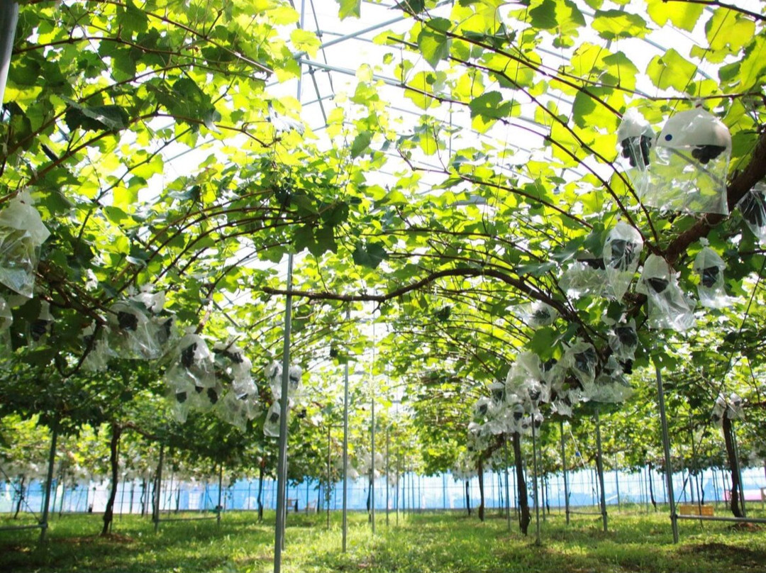 Awara Onsen Fruits Park Okayu