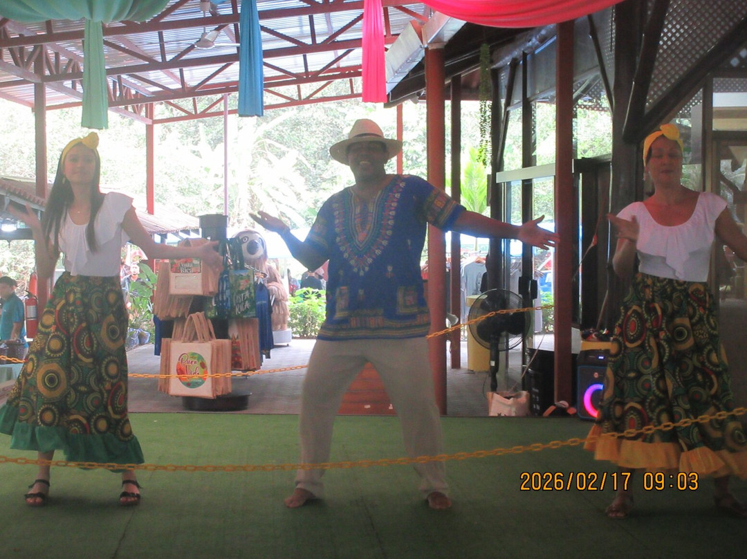 Tortuguero Canal-利蒙港必去景点