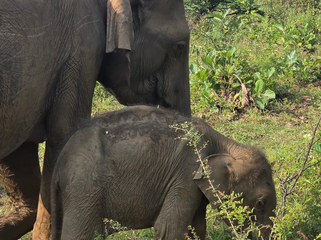 Sanjaya Tours Sri Lanka-锡吉里亚必去景点
