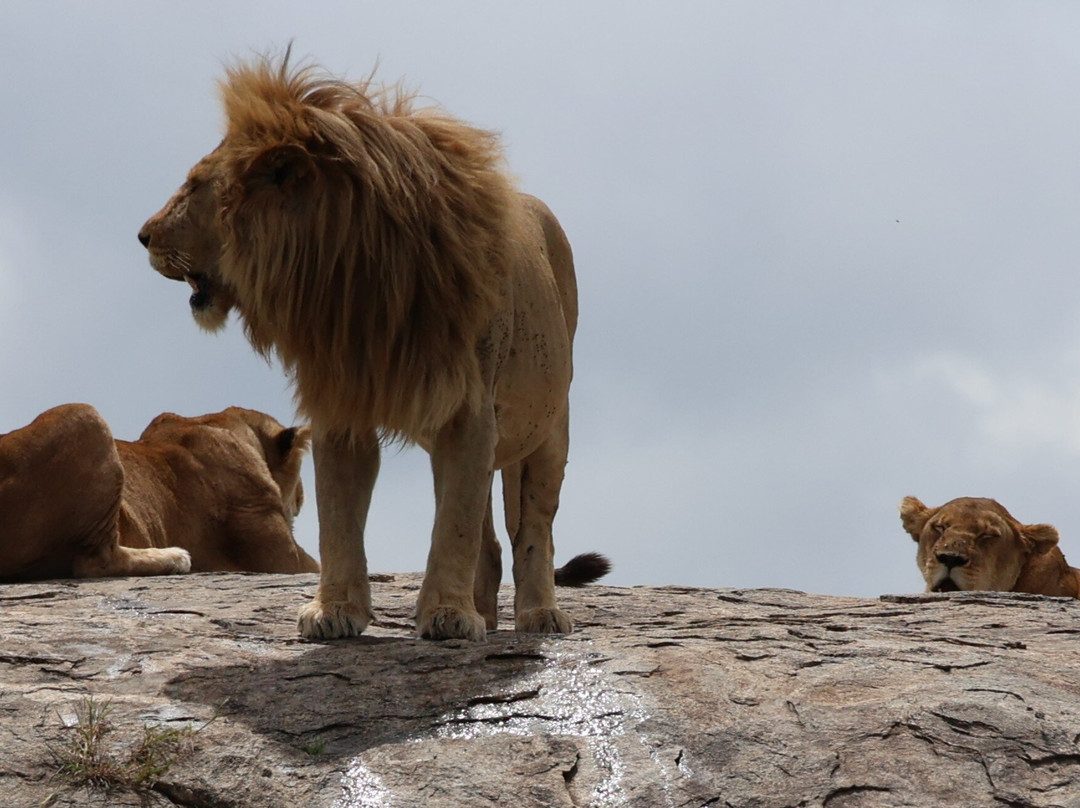 Evergreen Escape Expeditions - Africa-南由基必去景点