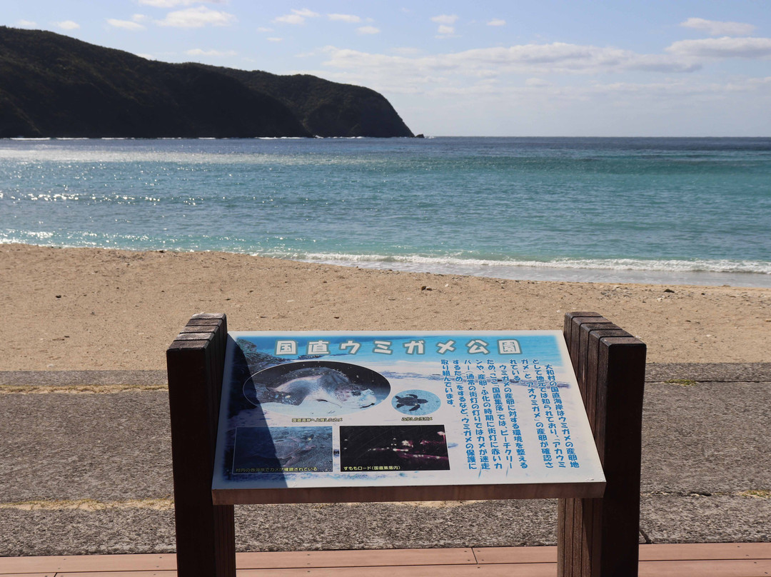 Kuninao Beach-大和村必去景点