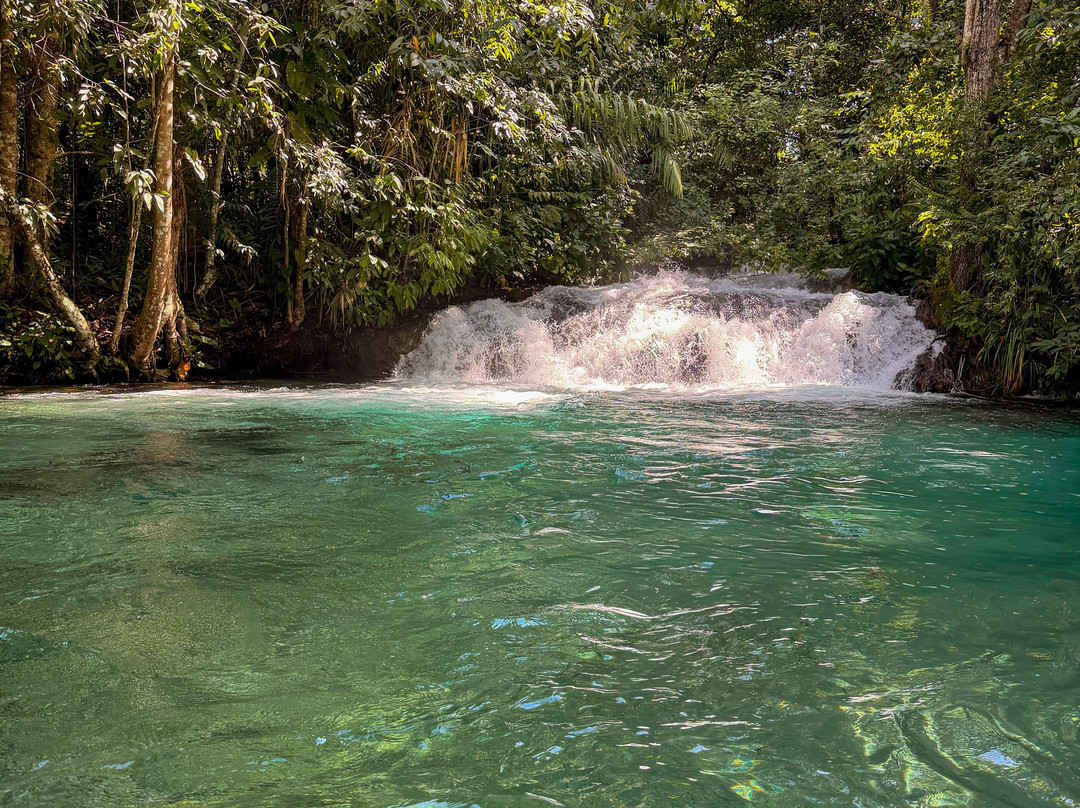 Cenario Nativo Expedicoes-Mateiros必去景点