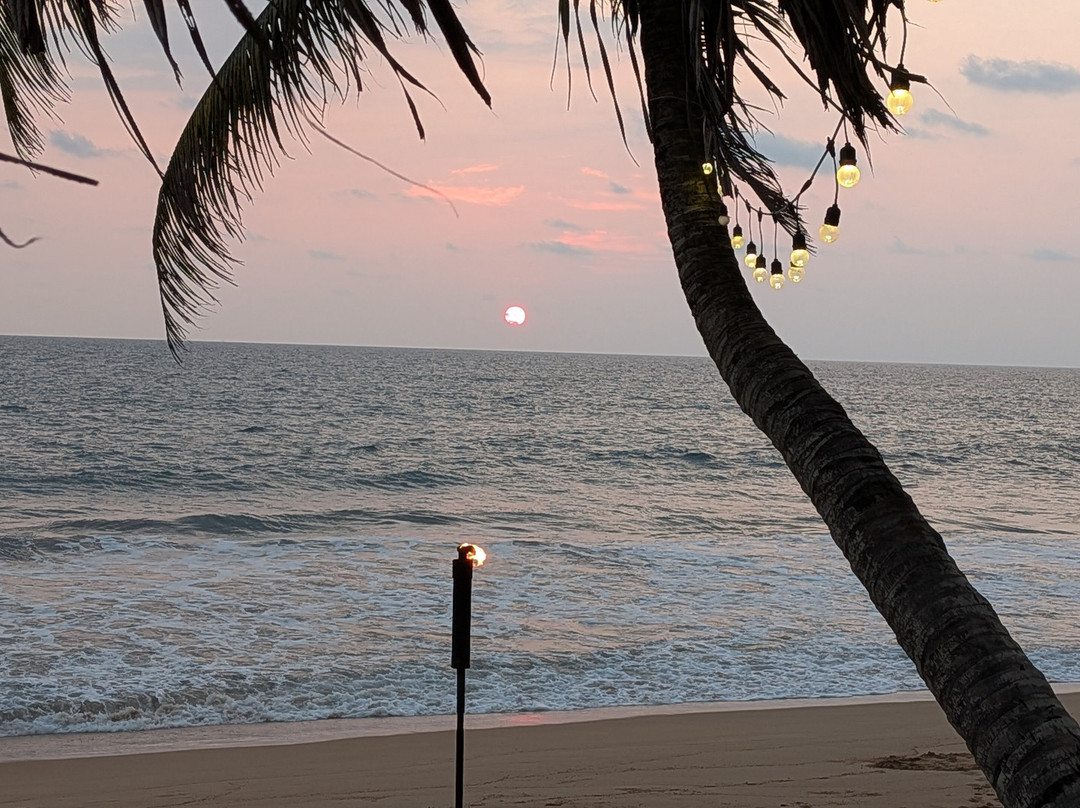 Sri Lanka Wide Tours-科伦坡必去景点