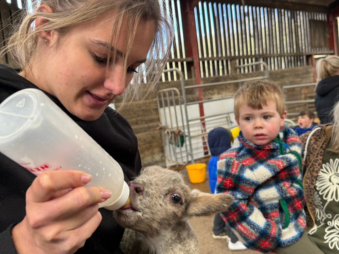 Court Farm Country Park-Banwell必去景点
