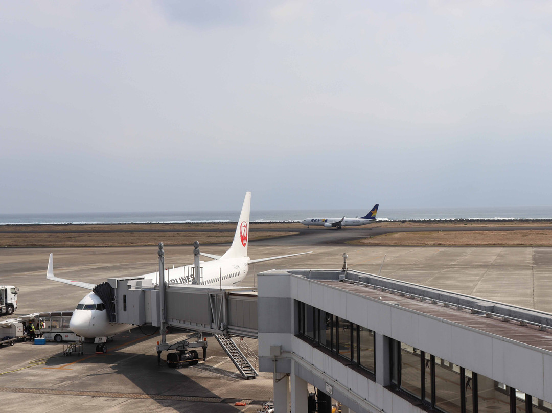 Amami Airport Visitors Deck-奄美市必去景点