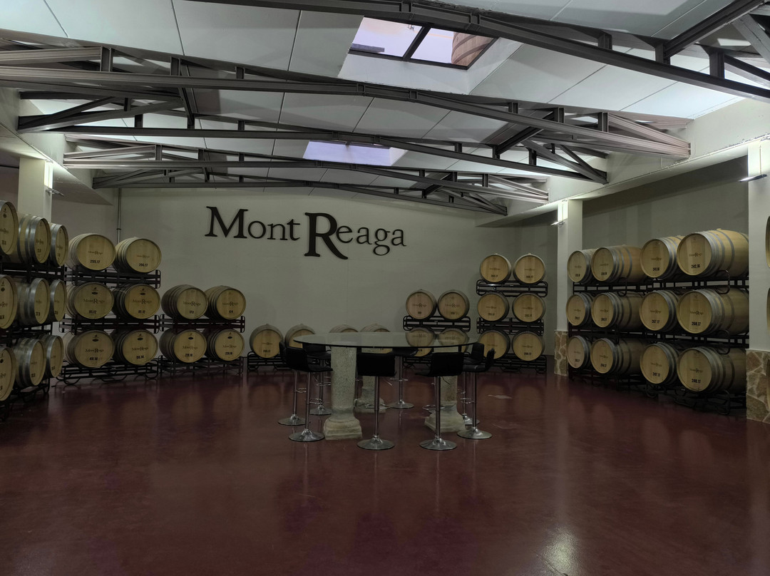 Bodega Mont Reaga-Monreal del Llano必去景点