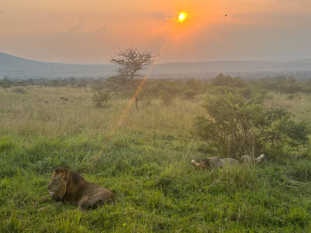 Explore RwandaTours-吉佳利必去景点