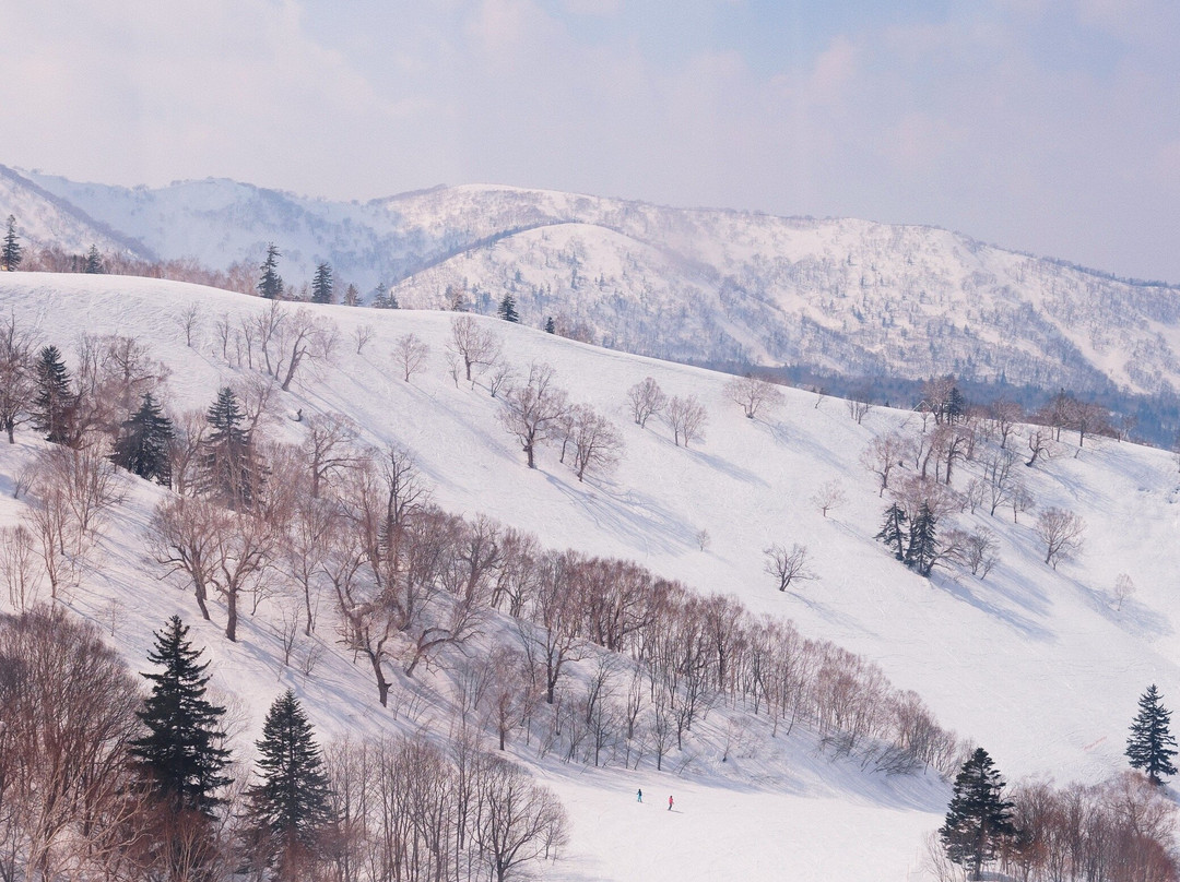 裕府喜乐乐奢华酒店式公寓主图