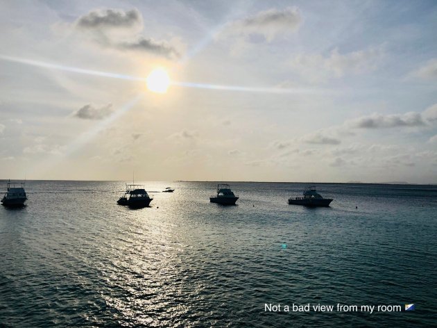 迪维火烈鸟海滩度假村及-官方