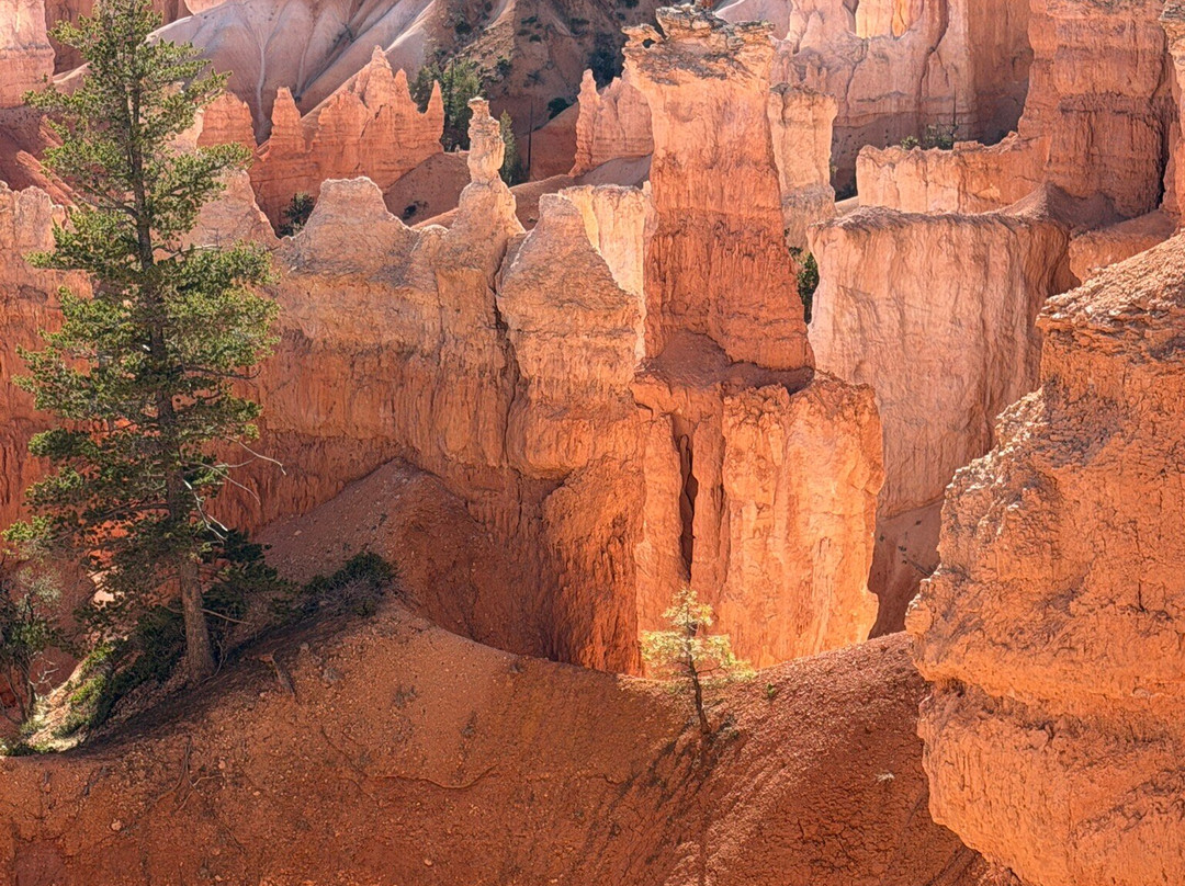 峡谷地国家公园-莫阿布必去景点