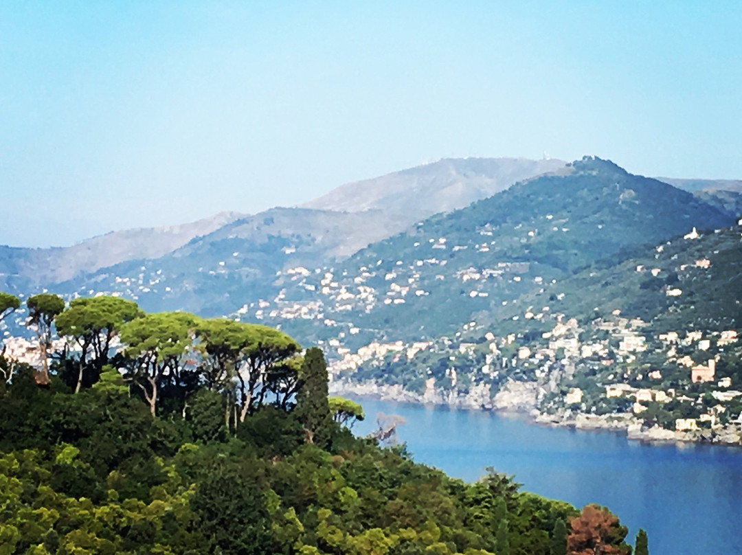 罗斯玛丽诺别墅酒店主图