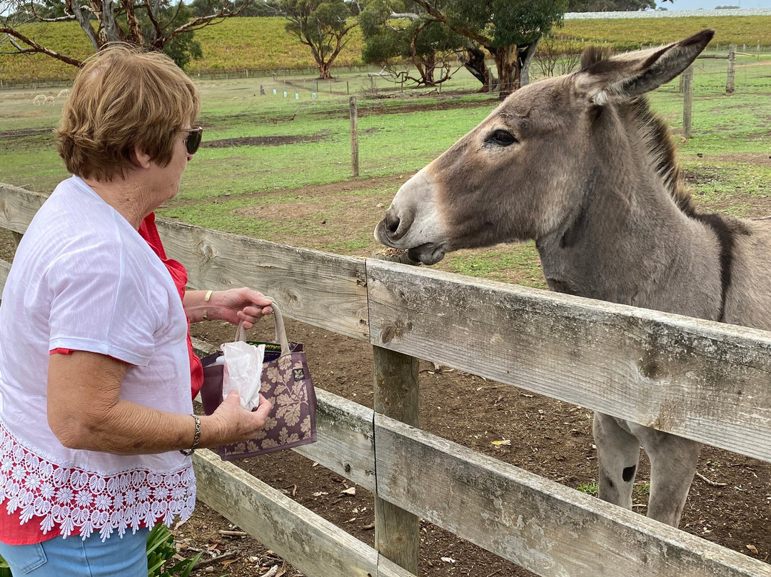 Glen-Forest Tourist Park & Vineyard-Port Lincoln必去景点