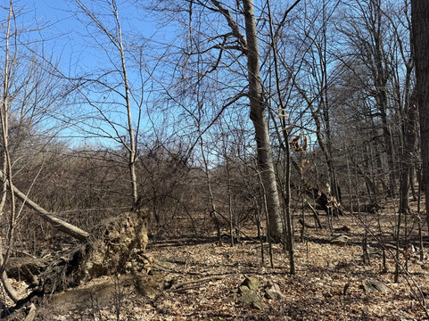 Eramosa Karst Conservation Area-Stoney Creek必去景点