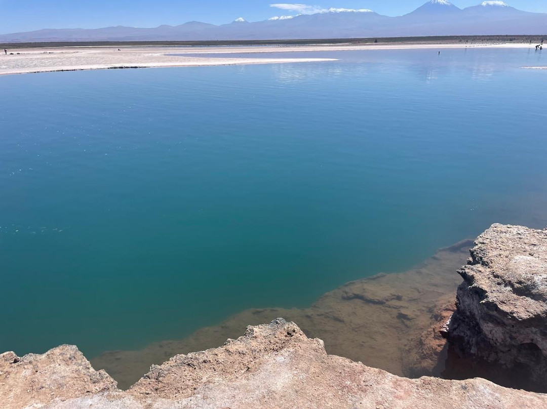 Laguna Cejar-圣佩德罗-德阿塔卡马必去景点