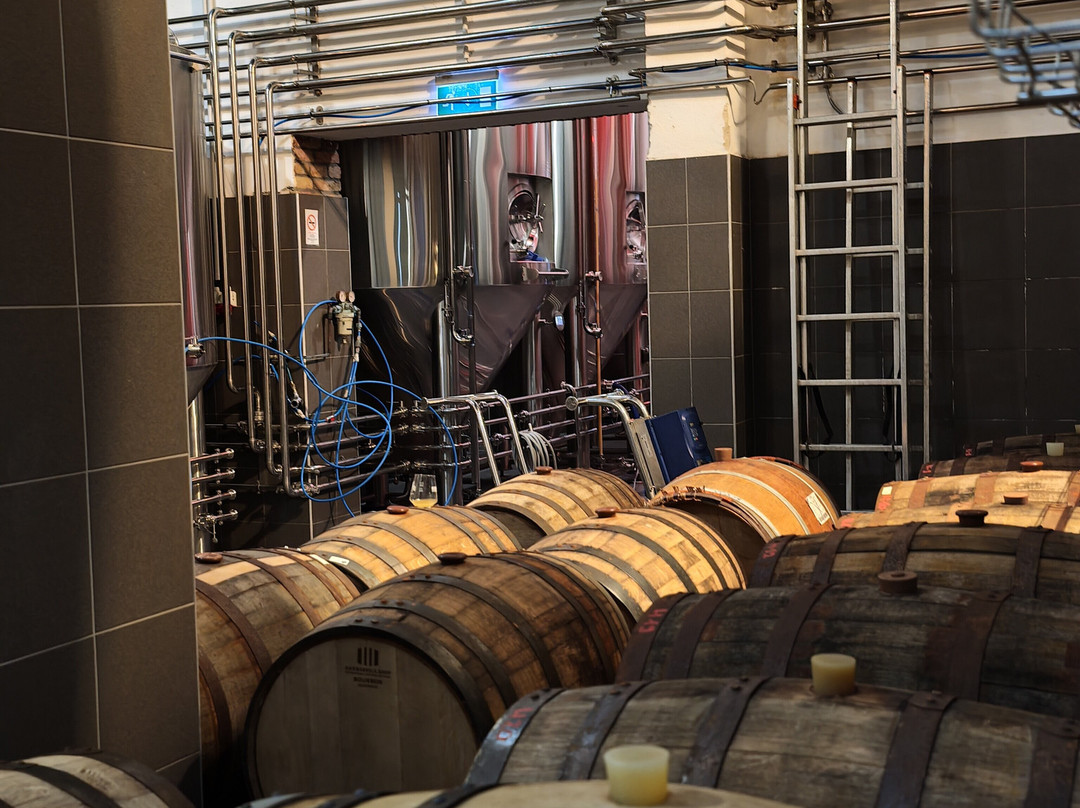 FIRST Craft Beer Brewery & Taproom-布达佩斯必去景点