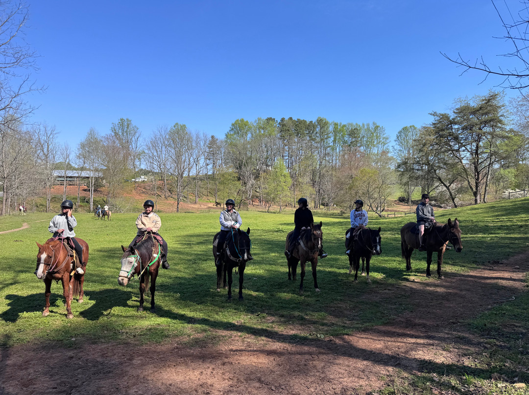 Cowgirl Up Stables-Cherry Log必去景点