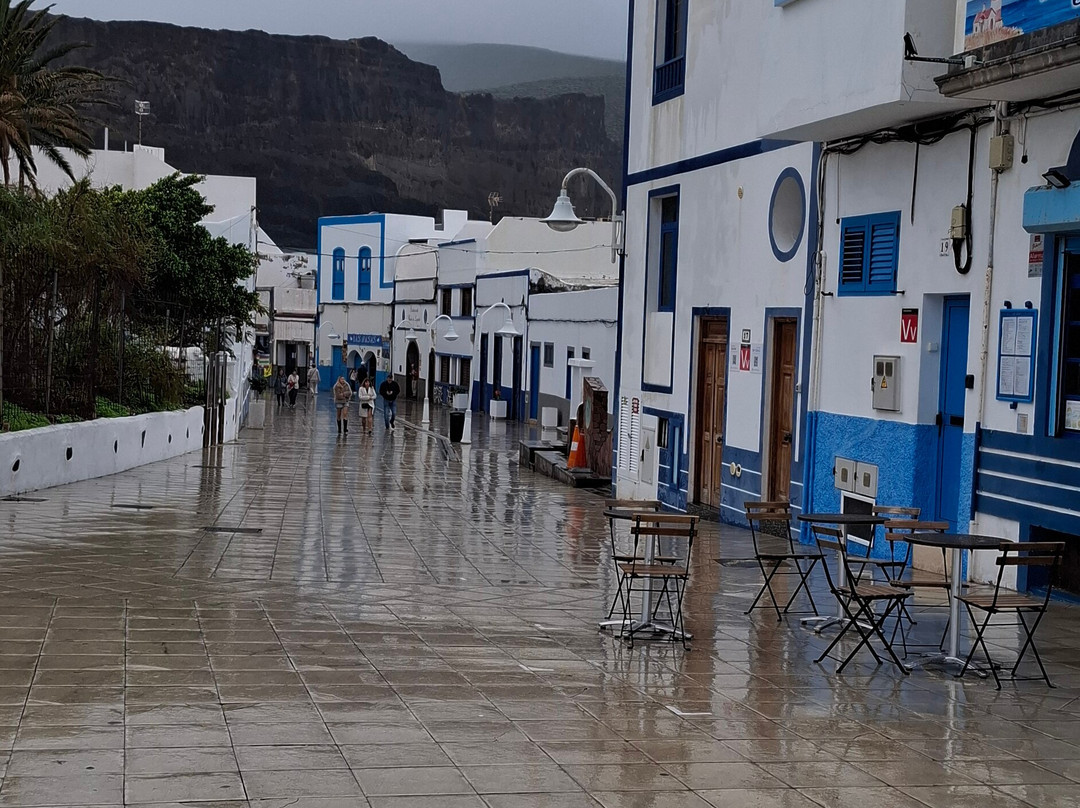 In Tribute to the Sailor-Puerto de las Nieves必去景点