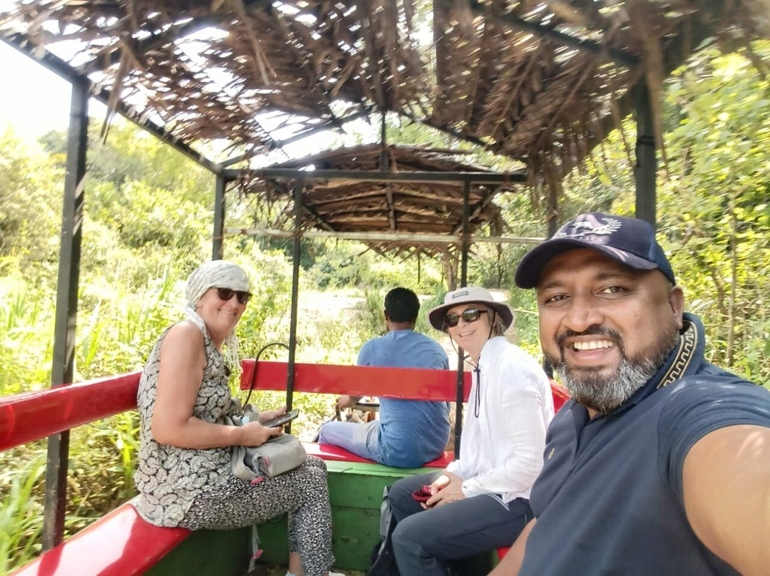 Bee Lanka Tours-康提必去景点