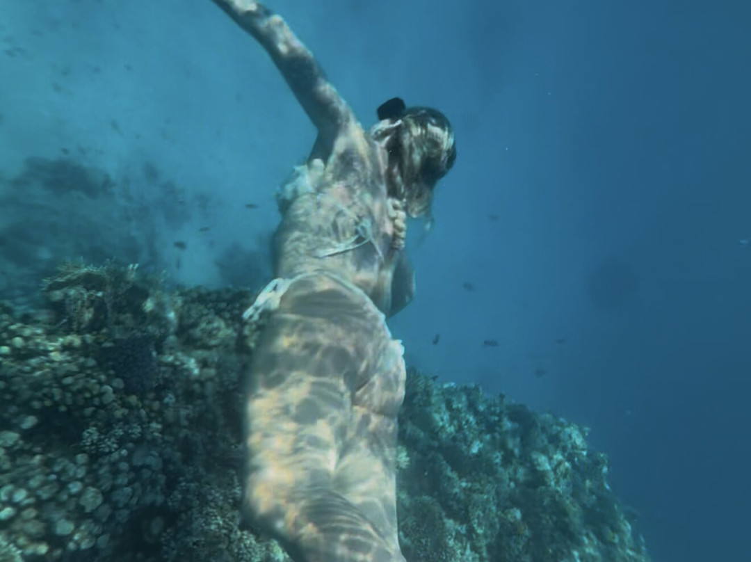 Mokly Tours-Hurghada 2必去景点