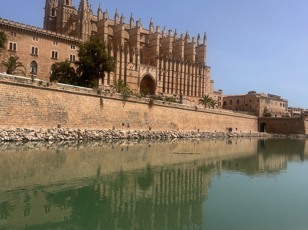 Cathedral de Mallorca-马洛卡帕尔马必去景点