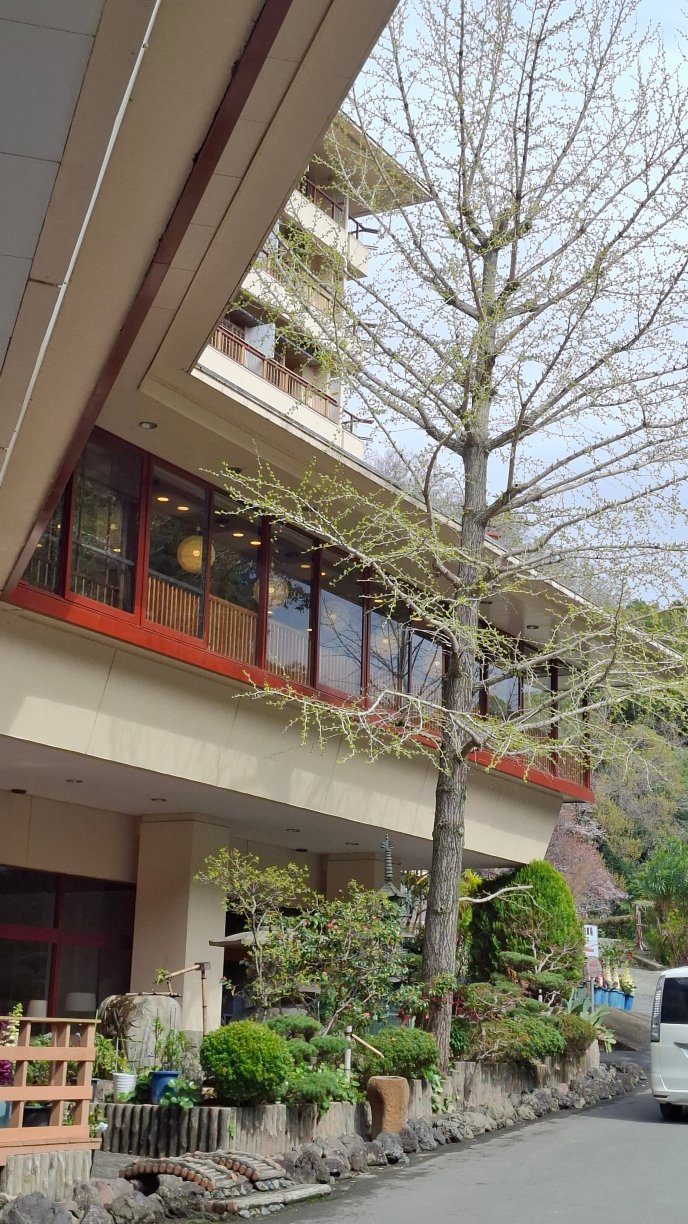 伏尾温泉　不死王阁酒店-官方
