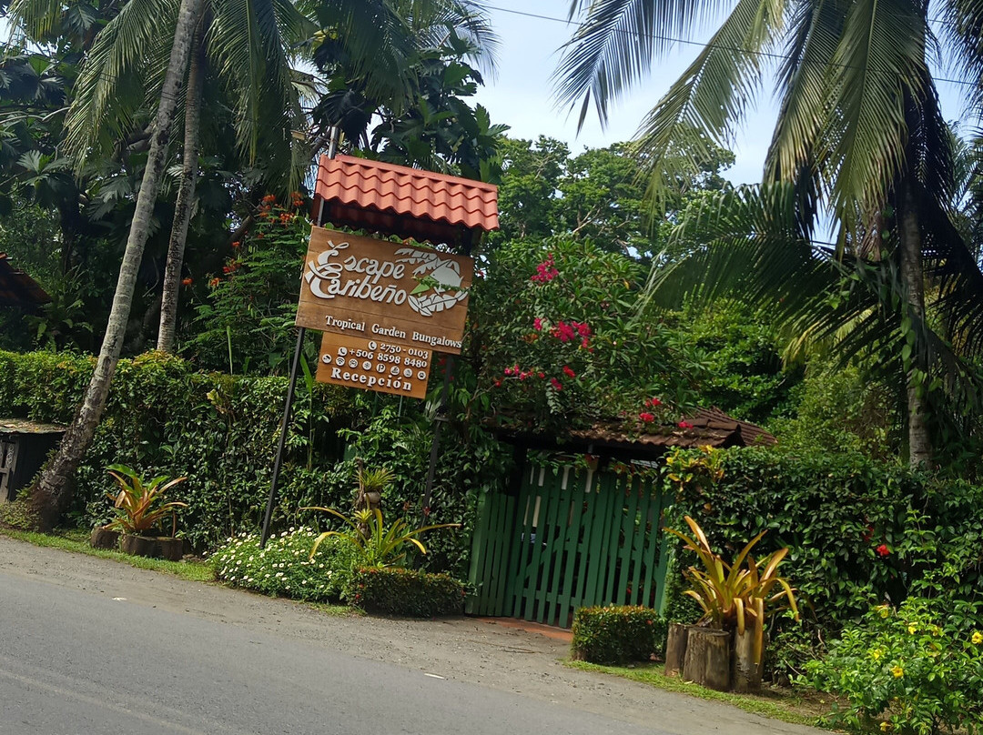 Hotel Escape Caribeño主图