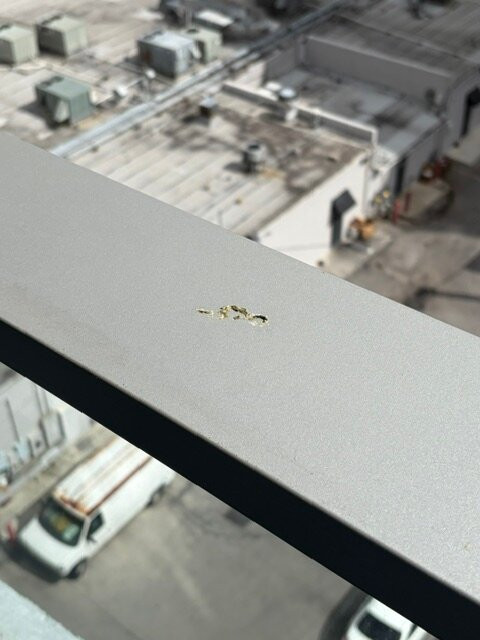 迈阿密阳光岛滩居家旅馆主图