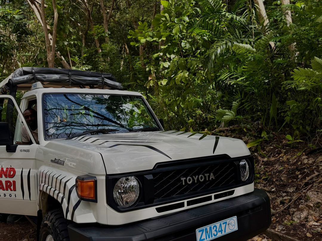 Island Safari Barbados-Saint Michael Parish必去景点