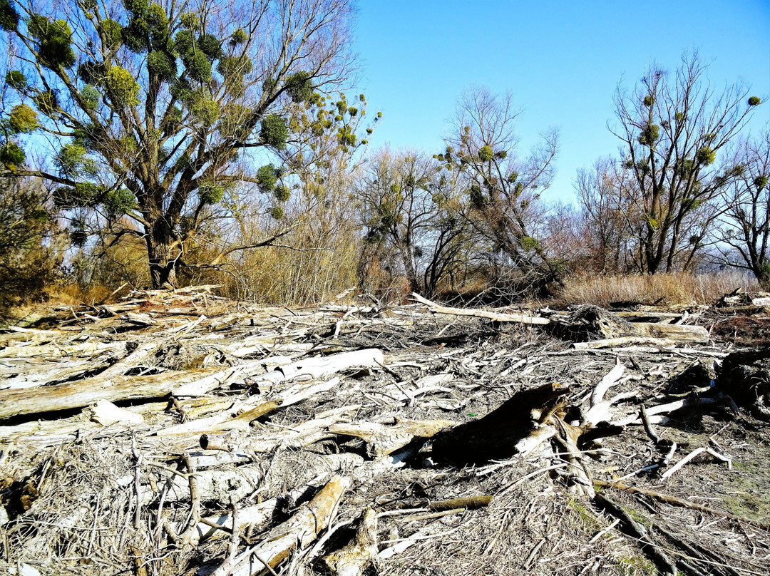 Nationalpark Donau-Auen-Orth an der Donau必去景点