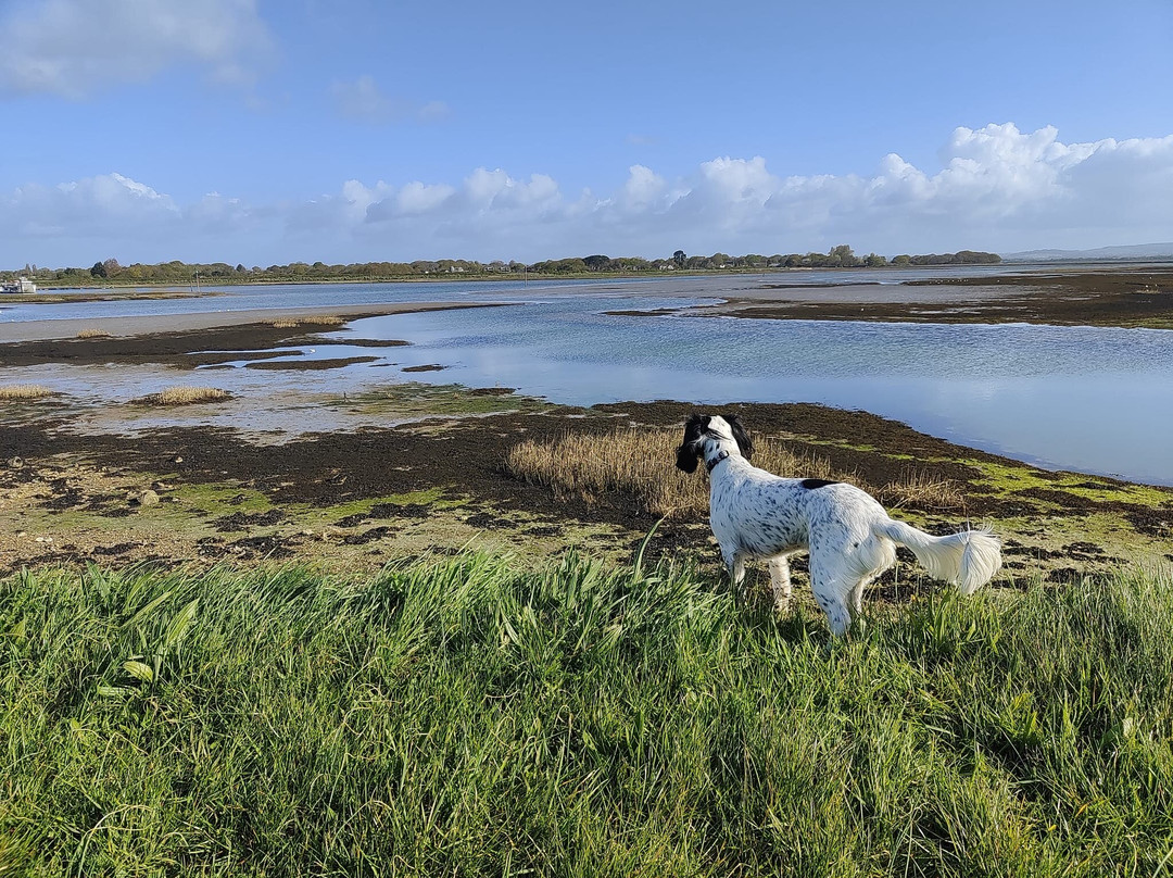 Mill Rythe Coastal Village主图