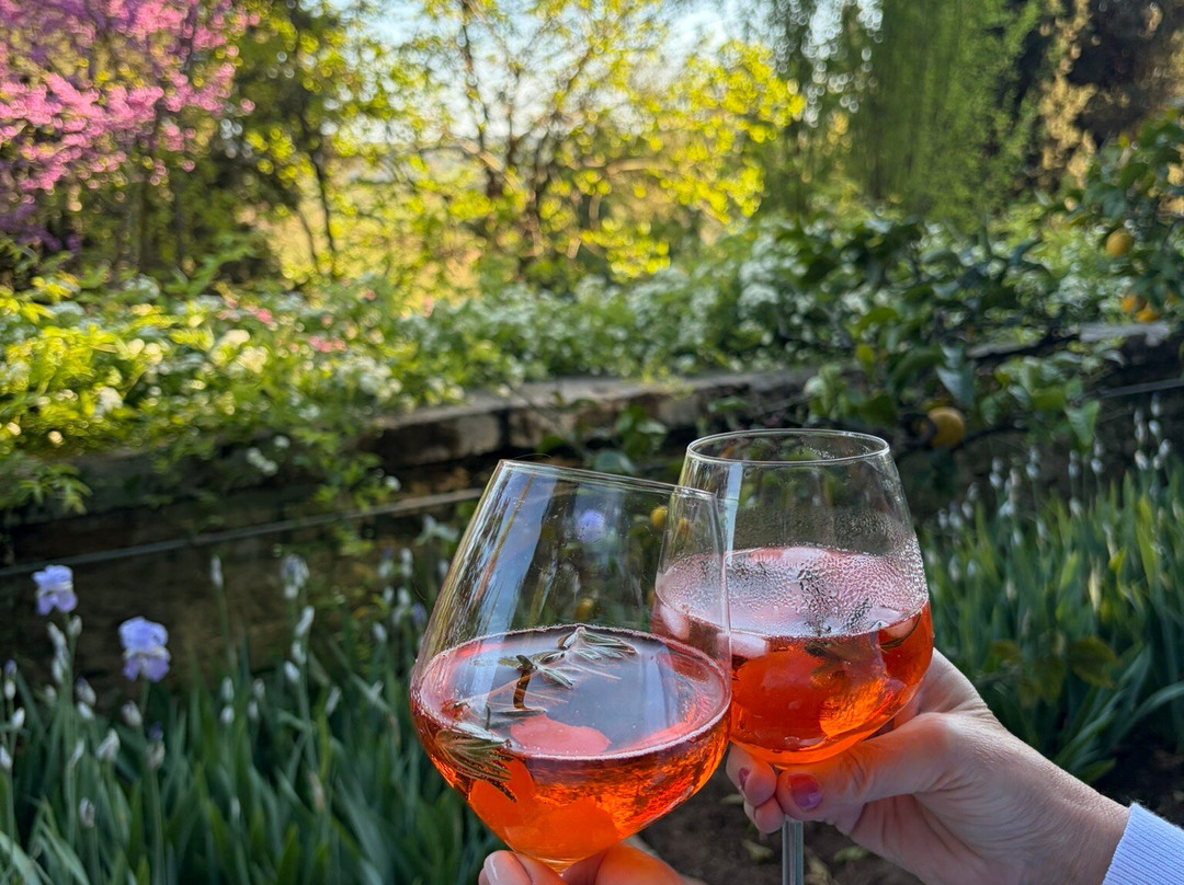 蒙地古弗尼城堡主图