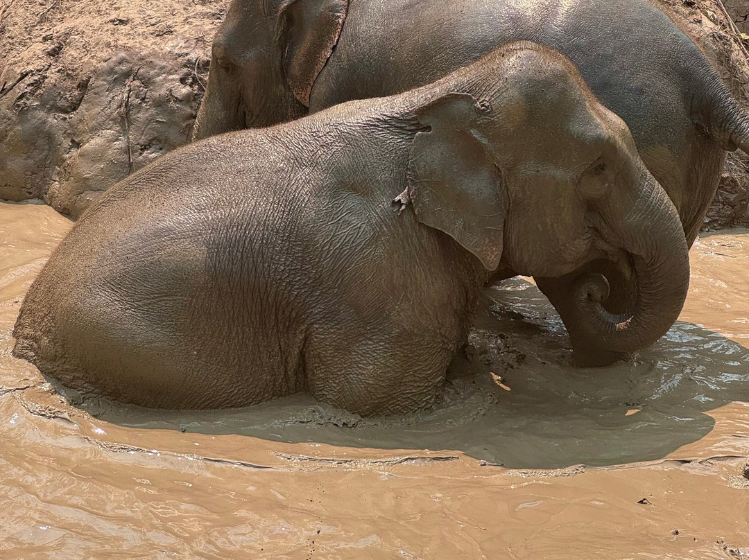 Chang Chill-Mae Win必去景点