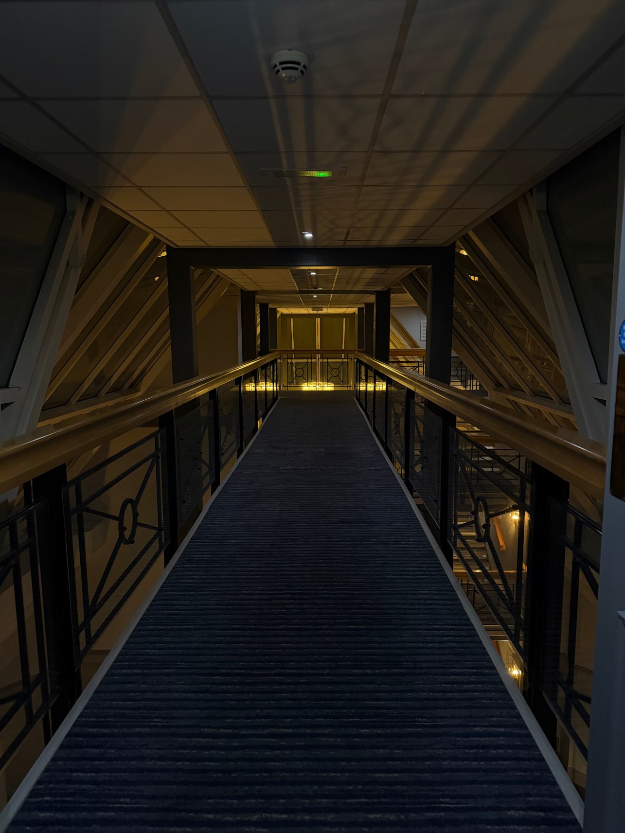 伦敦埃尔斯特里希尔顿逸林酒店-旅行者