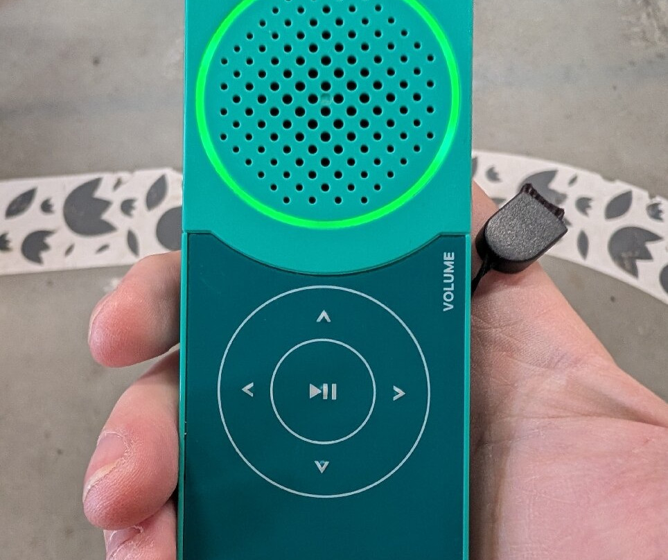 Tulip Experience Amsterdam-诺德韦克豪特必去景点