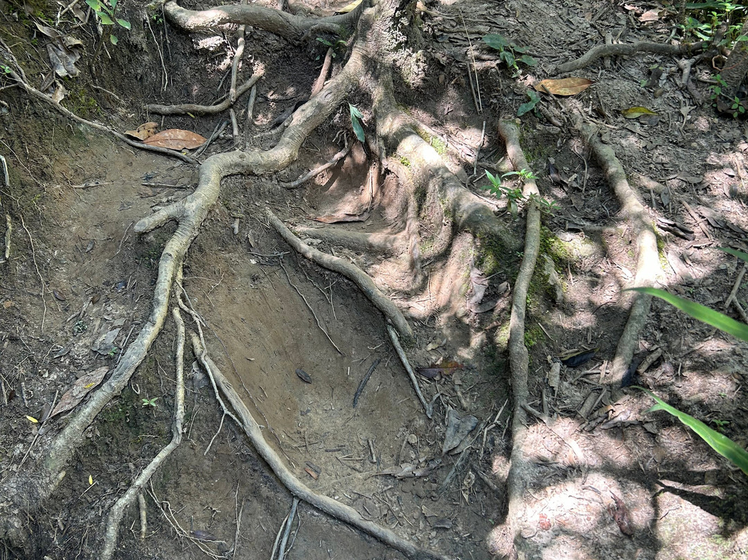 Cachoeira Eubiose-Sao Thome das Letras必去景点