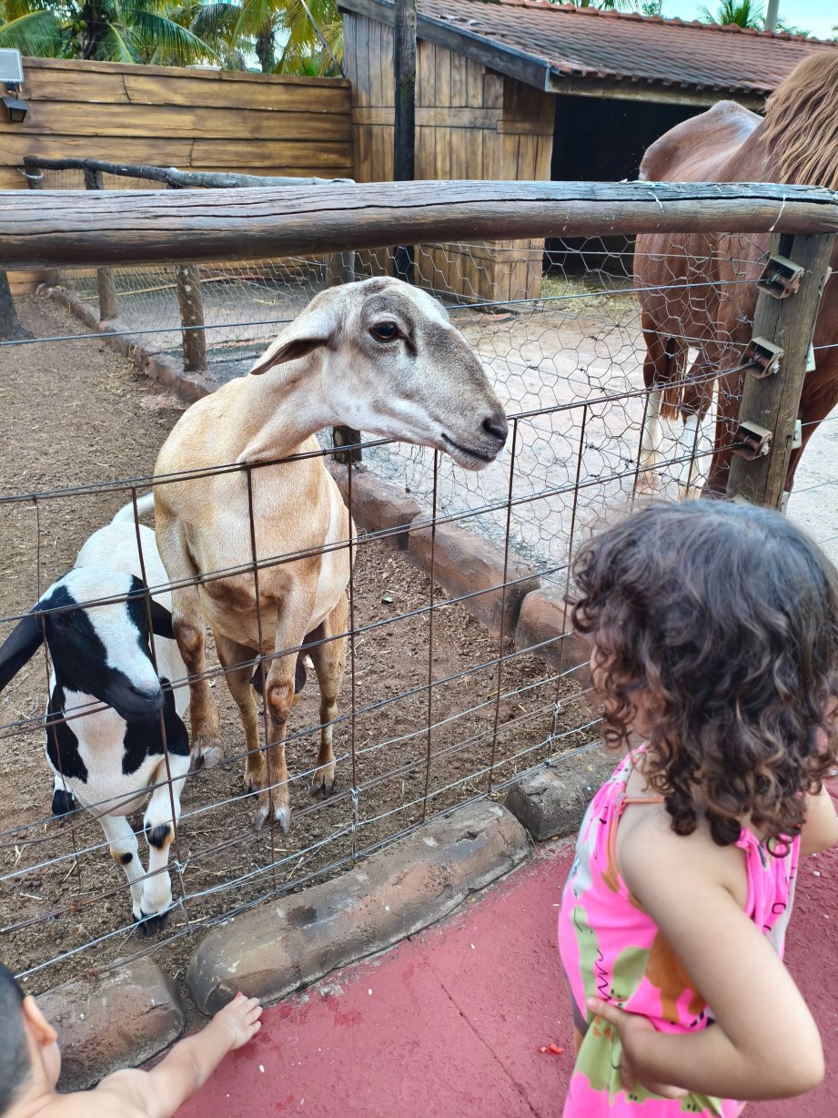 Carpe Diem Eco Resort 奥林匹亚-家庭/游戏区