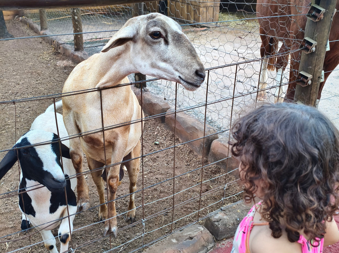 Carpe Diem Eco Resort 奥林匹亚主图