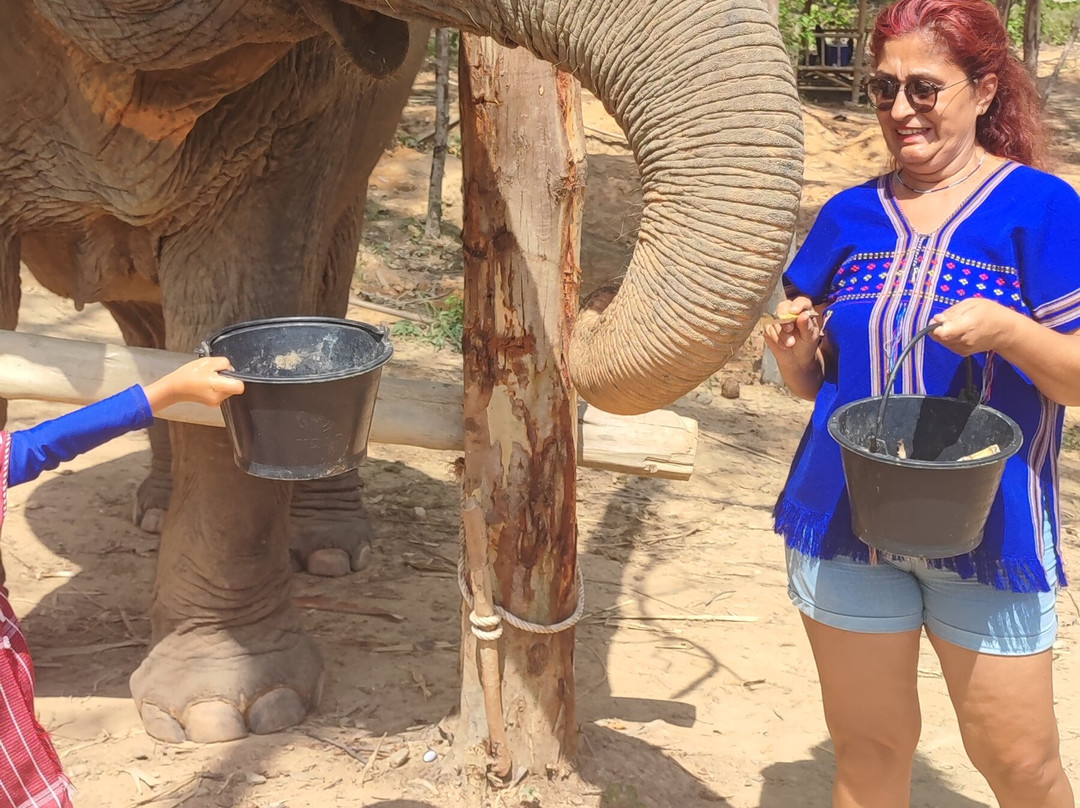 Kerchor Elephant Family Phuket-卡图必去景点